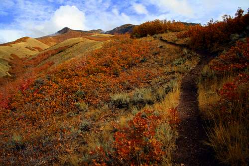 Fall Colors on Grandeur Peak
