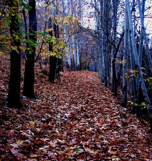 kordineh mashhad iran