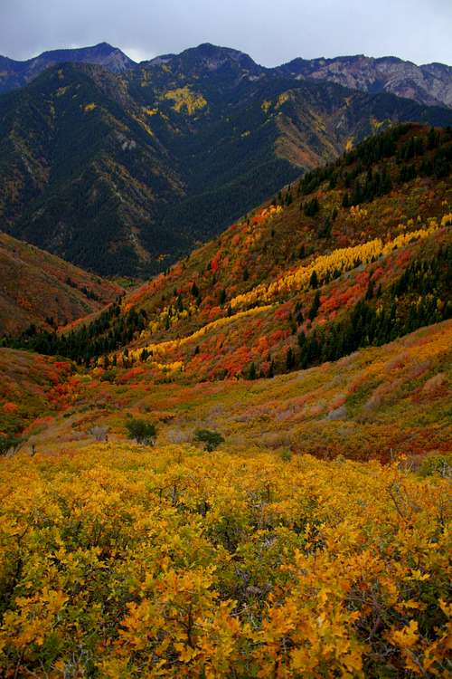 A Church of Colors in Church Fork