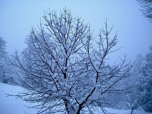 Winter in Kaghan Valley