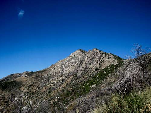 Cone Peak 