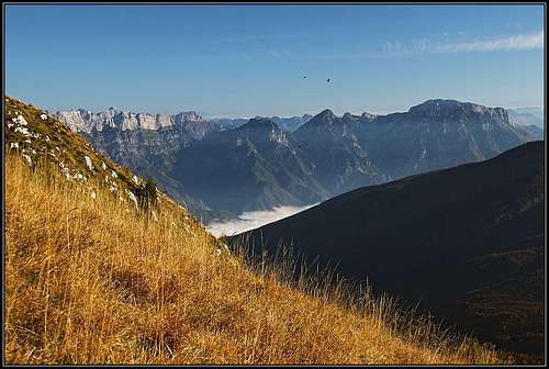 On the SE ridge of Cimon dei Furlani