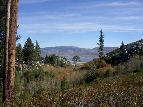 Fall colors in the hills above Washoe Valley