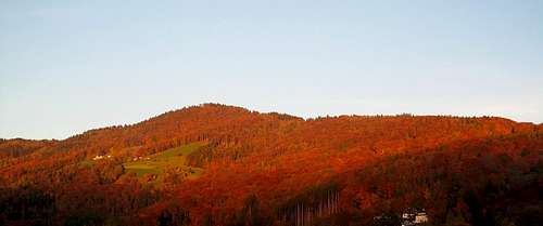 Intense autumn colors on the hills around Salzburg 2