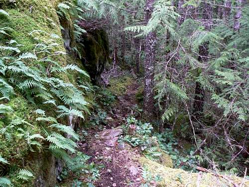 Empress Mountain Ridges Route - The Harrison Trail