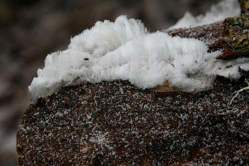 ice wool