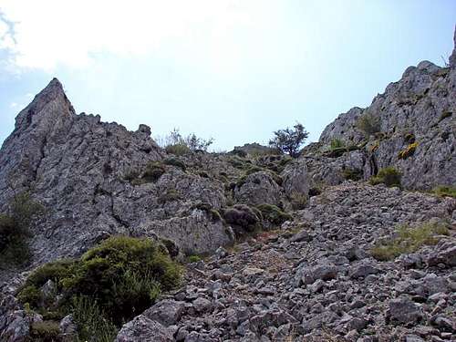 Descending the scree from Aitana