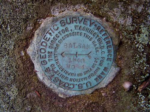 Balsam Lake Mtn Survey Marker