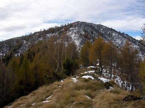 Monte Muggio