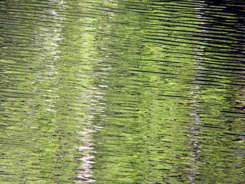 Corrugated ripples, Lake Lagunitas