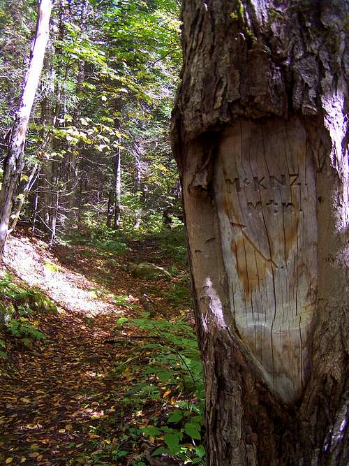 McKenzie Mtn Carved Tree Sign