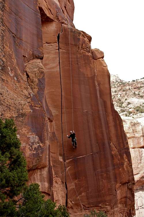 Rappel from Willie's Hand Jive