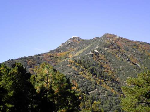 Mount Hopkins in Fall Colors