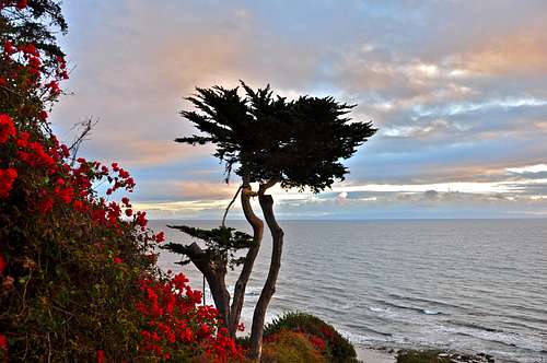 A calm day on the Pacific