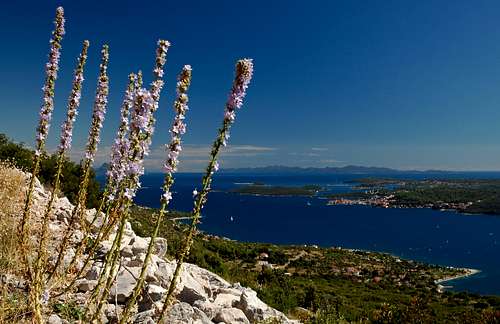View to Korčula island