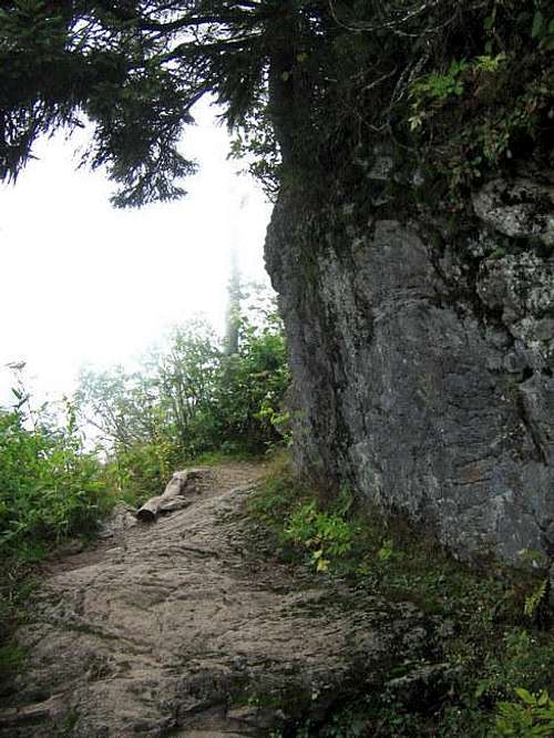 Waterrock Knob Trail