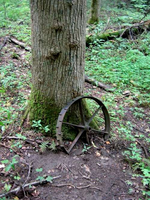 Old tractor wheel against a...
