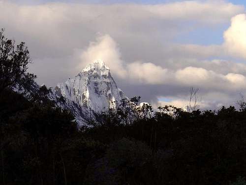The peak of Taulliraju . July...