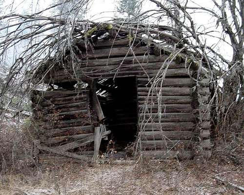Old Settlers Cabin