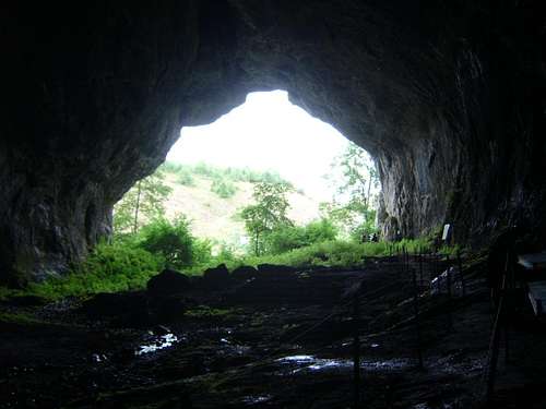 Unguru Mare Cave, Apuseni Mountains