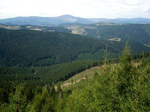 Suhard Mountains and Obcina Mestecãnisului