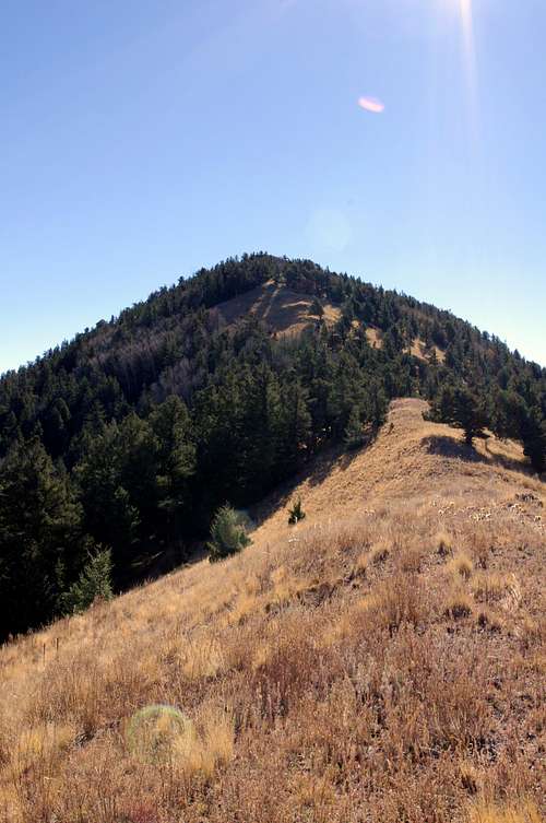 Timber Peak Ridge