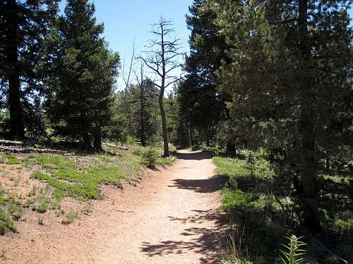 Barr Trail