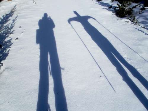 Long winter shadows