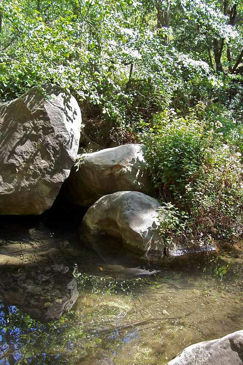 San Ysidro Creek