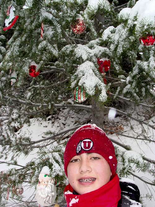 Lee boy & the Malan's Christmas Tree
