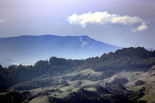 Mt. Tamalpais from Rocky Ridge