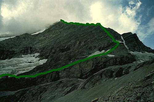 Weisshorn E Ridge climbing route