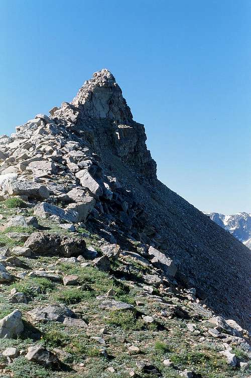 Summit Cone on White Rock Mountain