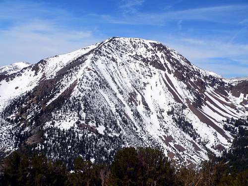 Tioga Peak from the east