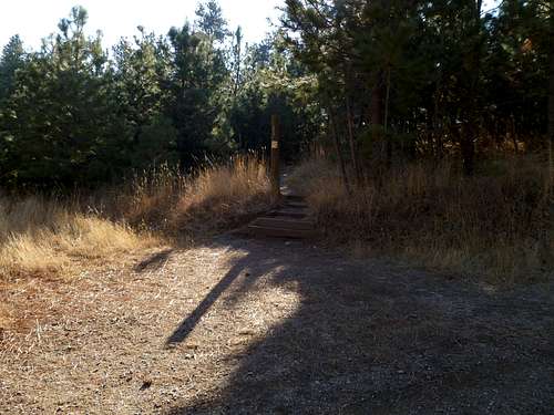 Where the Old Mesa Trail leaves the Mesa Trail
