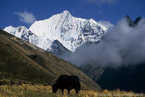 Langtang and Jugal Himal