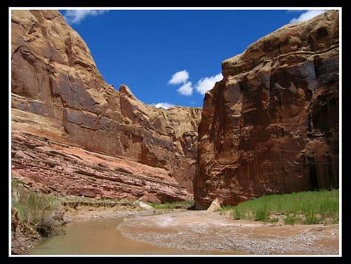 Muddy River Gorge