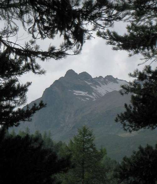 A small peak bordering the Roseg valley