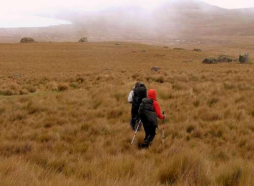 Inca Trail (day 2).
