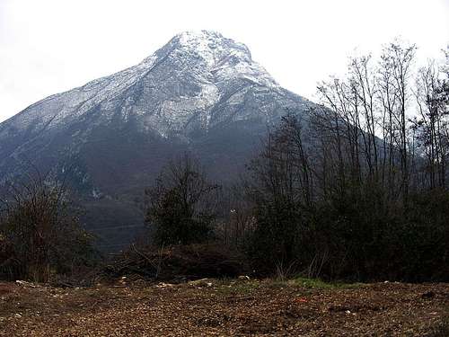 Monte Pizzocolo NE side
