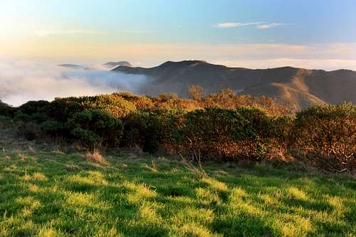 Coyote Ridge, Marin Headlands