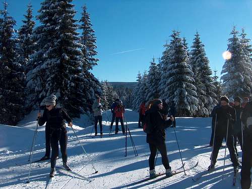 Cross-country skiers near Jakuszyce