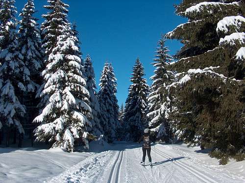 Cross-country skiing near Jakuszyce