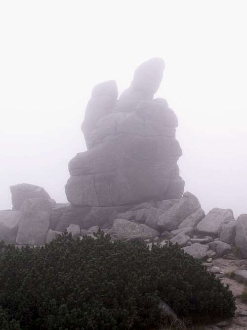 Foggy rocks...