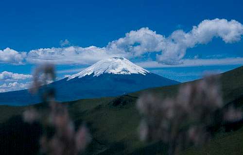 Cotopaxi as seen from the...