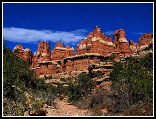 The Needles of Canyonlands - Oct. 15-18 2009