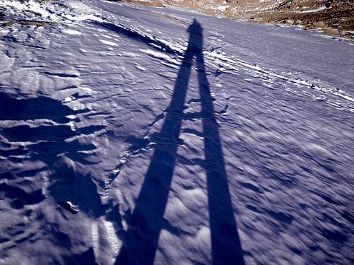 Long winter shadow