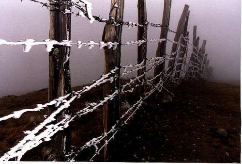 Adi's wire fence in a foggy...