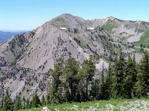 a great view of Sheep Creek Peak