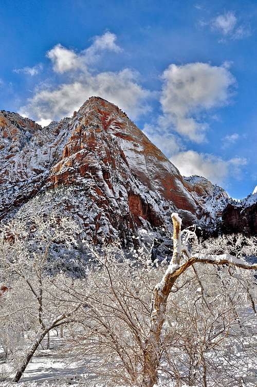 Lady Mountain